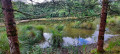 Etang de la Noz Charmoille