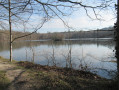 Etang de la Pimardière