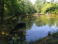 Etang de la Planchette
