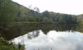 Etang de la prairie Etang de la prairie