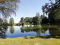 Etang de la Samaritaine