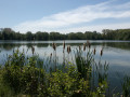 etang de la Sauvagine