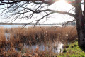 Etang de la Sous
