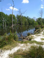 Etang de Lamoulasse