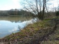 Etang de Languistre