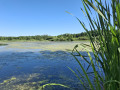 Tour de l'Étang de Lansquenet Tour de l'Étang de Lansquenet