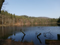 Etang de Lieschbach
