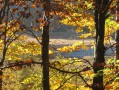 Etang de Machais en automne