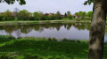 Etang de Malnoue Sud