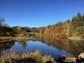Tour de l'Étang de Montlosier par les puys Tour de l'Étang de Montlosier par les puys