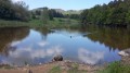 Etang de Montlosier Etang de Montlosier