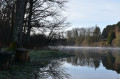 Etang de Morat au petit matin