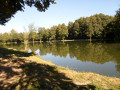 Etang de Parly