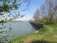 Étang de Parroy