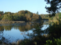 Étang de Penfoulic