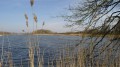 Etang de Picard Etang de Picard
