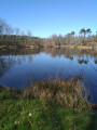 Etang de Pouydesseaux
