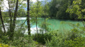 Etang de Roize