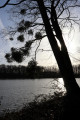 Etang de Saint-Août