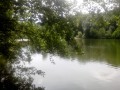 Etang de Saint-Cucufa