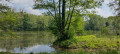 Etang de Saint-Vaast-lès-Mello
