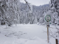 Etang de Sèchemer en hiver Etang de Sèchemer en hiver
