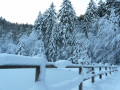 Etang de Sèchemer sous la neige