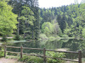 La Bresse par le Lac des Corbeaux et l'Étang de Sèchemer
