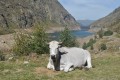 Etang de Soulcem