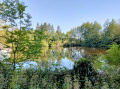 Etang de Tardais