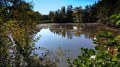 Etang de Vauchrétien