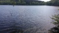 Etang de Vauvillard