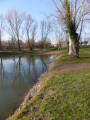 Etang de Virieux Etang de Virieux