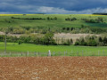 Circuit Hampont et Obreck depuis Château-Salins