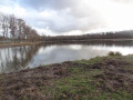 Etang des Brosses