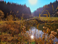 Etang des Chartreux