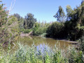 Etang des marais de Reilly
