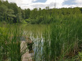 Etang des moines