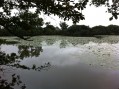 Etang des Molières