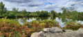 Etang des Noyes
