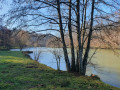 Etang des Princes
