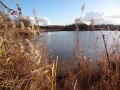 Etang des Sautériaux