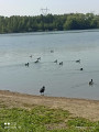 etang du brochet