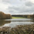 Étang du château de la Motte