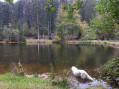 Etang du Coucou