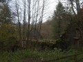 Ruines