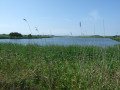 Étang du Curnic