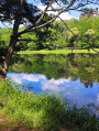 Etang du Fleckenstein