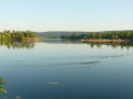 Etang du Gallardon Etang du Gallardon