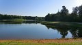Etang du Grand Bois